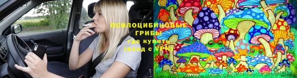ECSTASY Алексеевка
