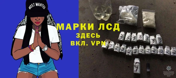 гидра Арсеньев