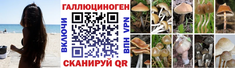 Купить закладки  Карабаново  Псилоцибиновые грибы Psilocybine cubensis 